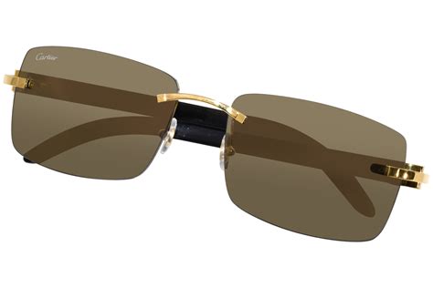 cartier ct0046s|Cartier CT0046S Rectangle Sunglasses .